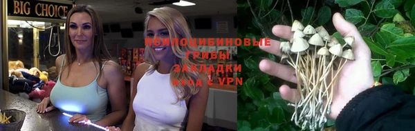 бошки Алзамай