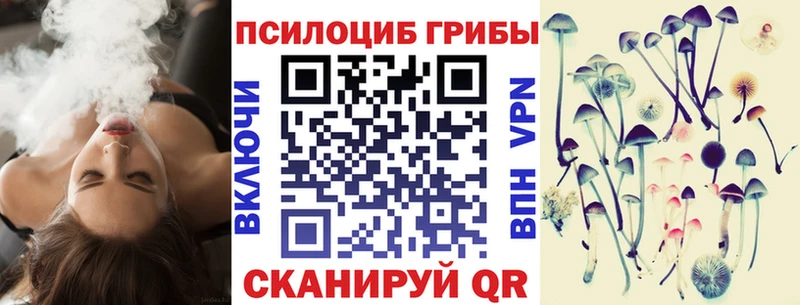 Псилоцибиновые грибы Psilocybe  купить  цена  Белорецк 